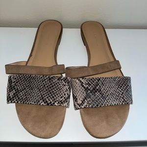 Banana Republic snakeskin light brown slides - size 6.5